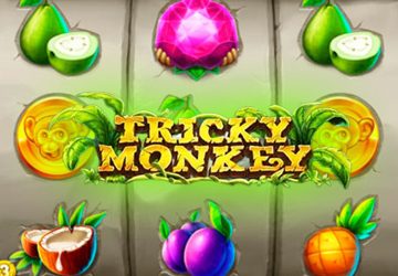 Tricky Monkey