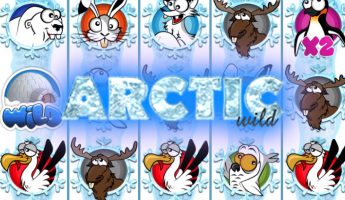 Arctic Wild Arctic Wild