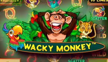 Wacky Monkey