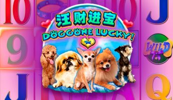Doggone Lucky!
