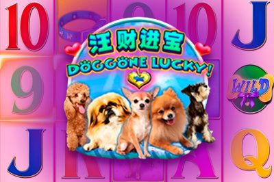 Doggone Lucky!