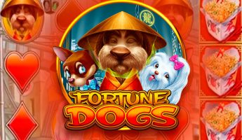 Fortune Dogs