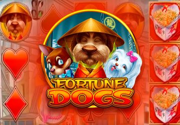 Fortune Dogs