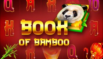 Book of Bamboo Book of Bamboo