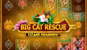 Big Cat Rescue MegaWays