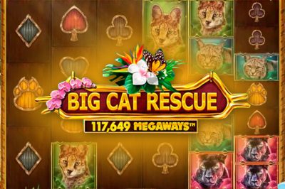 Big Cat Rescue MegaWays