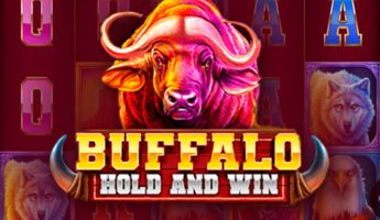 Buffalo Hold and Win