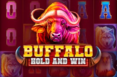 Buffalo Hold and Win