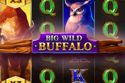 Big Wild Buffalo