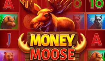 Money Moose