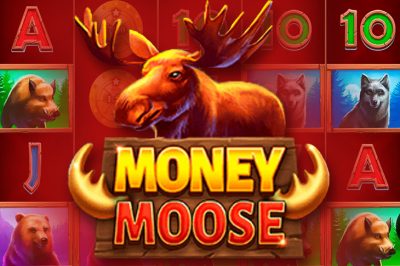 Money Moose