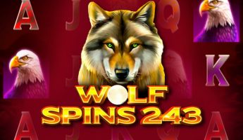 Wolf Spins 243