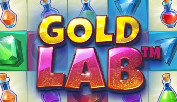 Gold Lab