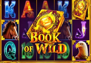 Book of Wild