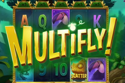 Multifly