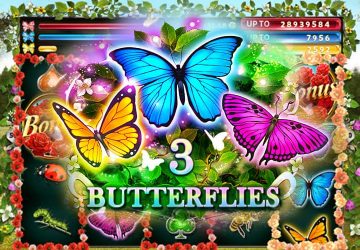 3 Butterflies