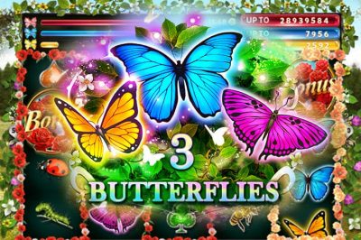 3 Butterflies