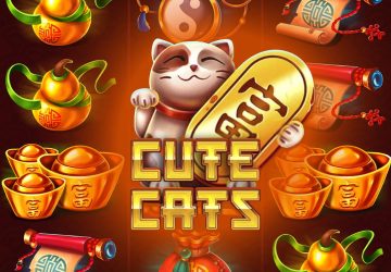 Cute Cats