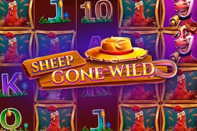 Sheep Gone Wild