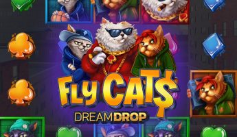 Fly Cats Dream Drop