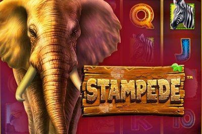 Stampede