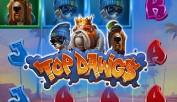 Top Dawg$