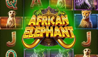 African Elephant