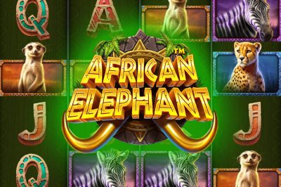 African Elephant