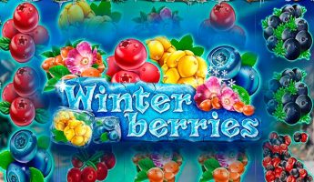 Winterberries