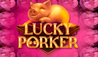 Lucky Porker
