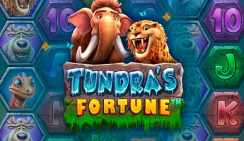 Tundra’s Fortune