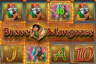 Brave Mongoose