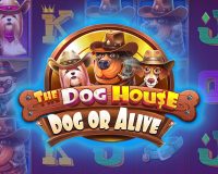 The Dog House — Dog or Alive
