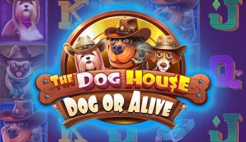The Dog House — Dog or Alive