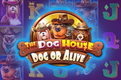 The Dog House — Dog or Alive