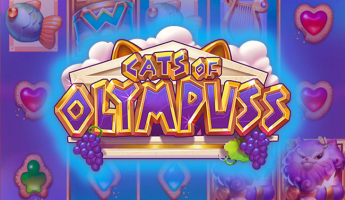 Cats of Olympuss