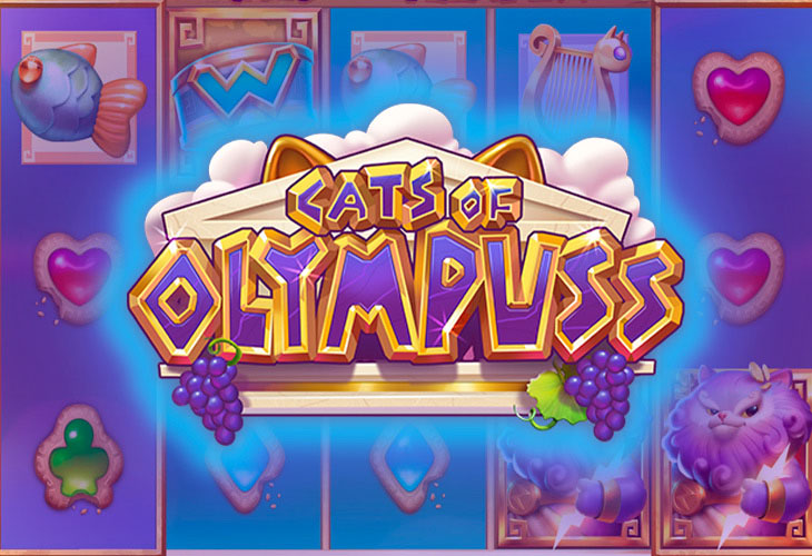 Cats of Olympuss