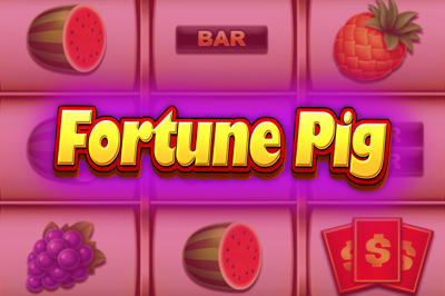 Fortune Pig