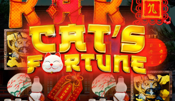 Cat’s Fortune