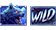Оборотень, Wild в WereWolf Wild