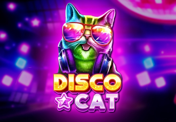 Disco Cat
