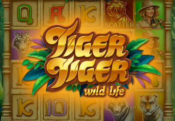 Tiger Tiger Wild Life