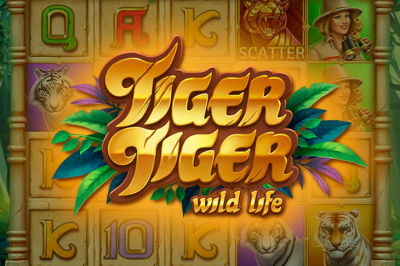 Tiger Tiger Wild Life
