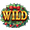 Рождественский венок (Wild) в Christmas Workshop: Hold The Spin