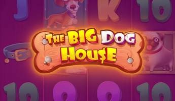 The Big Dog House
