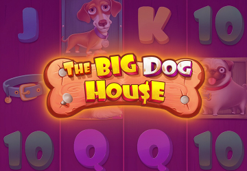 The Big Dog House
