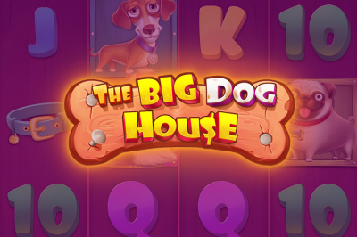 The Big Dog House