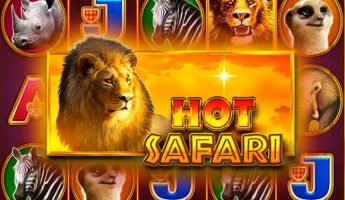 Hot Safari