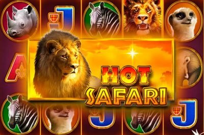 Hot Safari