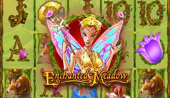 Enchanted Meadow